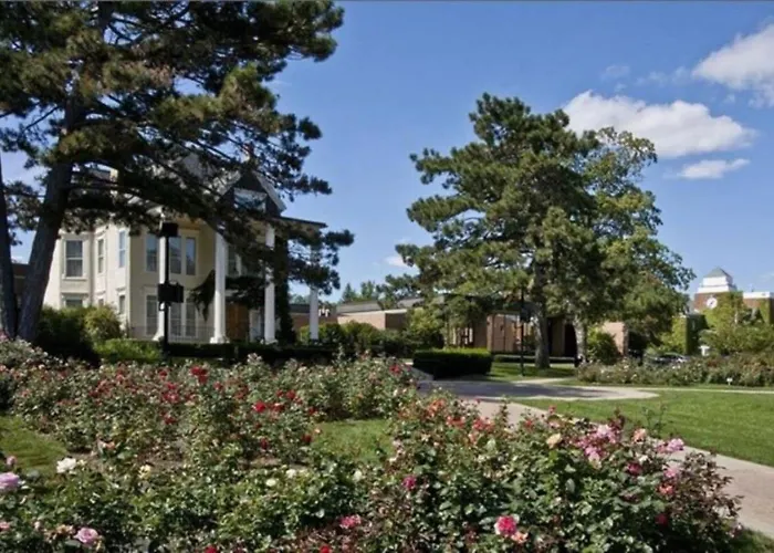 Modern With 2 Kings Half Mile To Dt Apartment